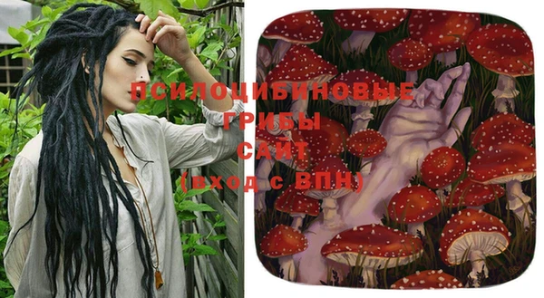 ешки Арсеньев